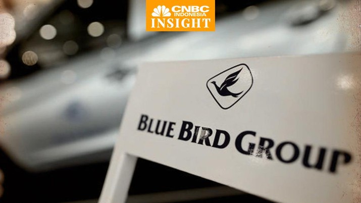 Cover Insight, Blue Bird
