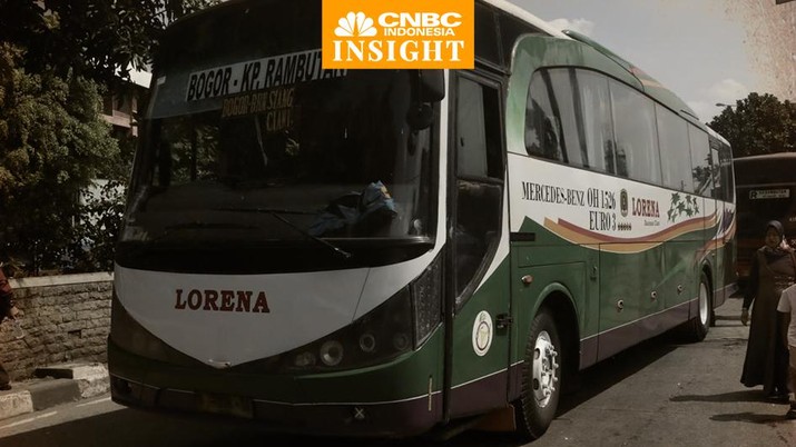 Cover Insight, Lorena