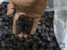 Kerap Disebut di Al-qur'an, Ini Keistimewaan Kurma untuk Obat
