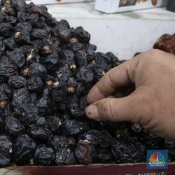 Kurma Israel Kian Kuasai Dunia, Arab Saudi Nyaris Kalah