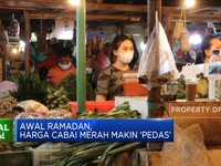 Awal Ramadan, Harga Cabai Merah Makin 'Pedas'
