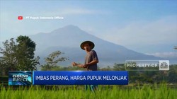 Imbas Perang, Harga Pupuk Melonjak