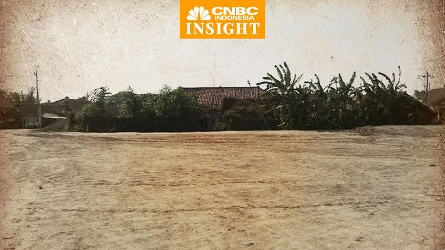 Cover Insight, Raja Tanah