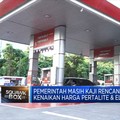 Aman!Pemerintah Masih Tahan Harga Pertalite & LPG 3 Kg