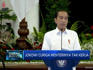 Jokowi Curiga Menterinya Tak Kerja