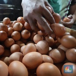 Lebaran Mendekat Harga Telur Hari Ini Terbang Tembus Rp30.000