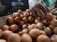 Lebaran Mendekat Harga Telur Hari Ini Terbang Tembus Rp30.000