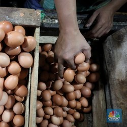 Harga Daging dan Telur Bakal Terbang, Ini Biang Keroknya