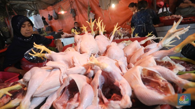 Penjual melayani pembeli daging ayam di Pasar Minggu, Rabu (6/4/2022). (CNBC Indonesia/Andrean Kristianto) Penjual melayani pembeli daging ayam di Pasar Minggu, Rabu (6/4/2022). (CNBC Indonesia/Andrean Kristianto)