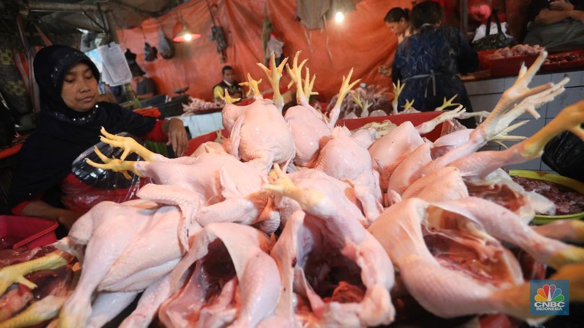 Kalahkan Cabai dan Beras, Harga Daging Ayam Paling Melonjak Tahun Ini