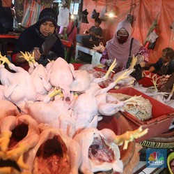 Gegara Ini Harga Daging Ayam RI Jadi Mahal