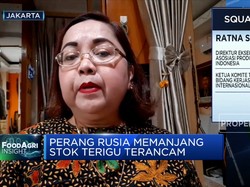 Bukan Efek Perang, Ini Penyebab Harga Terigu Sudah Naik 15%