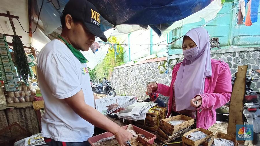 Pedagang ikan tongkol di Pasar Rakyat Tamansari Kabupaten Bogor, Rabu (6/4/22). (CNBC Indonesia/Ferry Sandi)