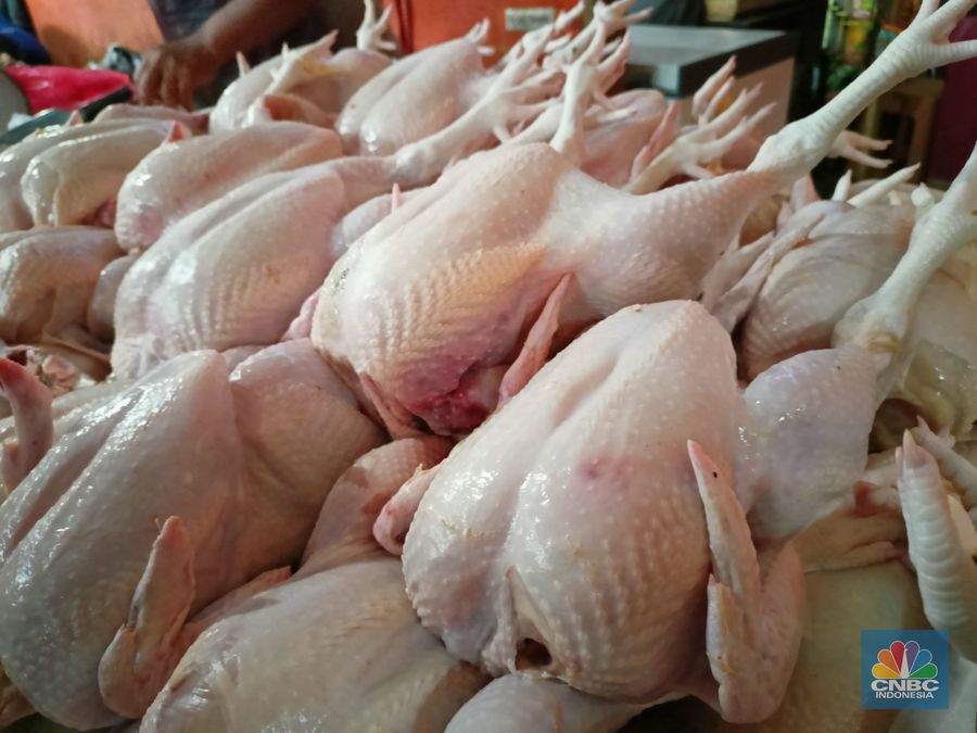 Penjual daging ayam di Pasar Rakyat Tamansari Kabupaten Bogor, Kamis (7/4/2022). (CNBC Indonesia/Ferry Sandi)
