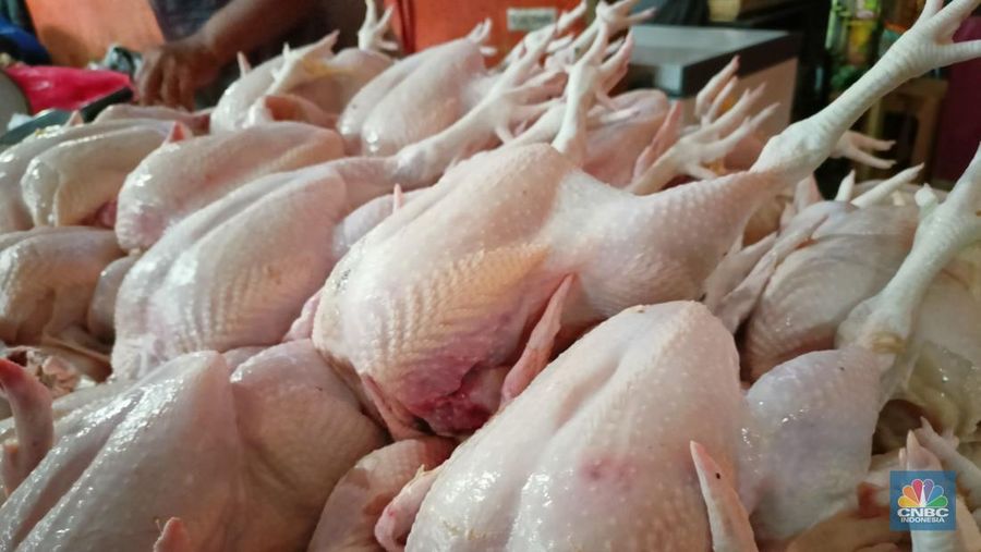Penjual daging ayam di Pasar Rakyat Tamansari Kabupaten Bogor, Kamis (7/4/2022). (CNBC Indonesia/Ferry Sandi)