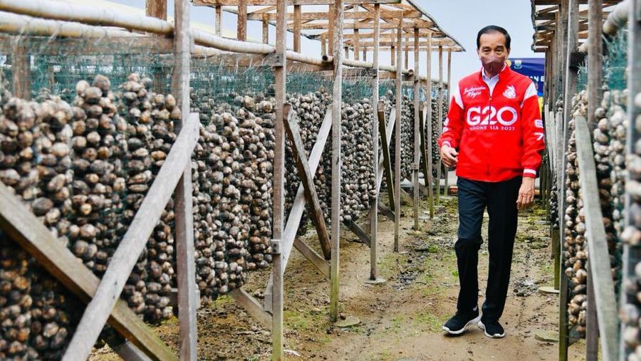 Presiden Jokowi Melepas Ekspor Komoditas Pinang Biji, Jambi, 7 April 2022. (Dok: Biro Pers Sekretariat Presiden)