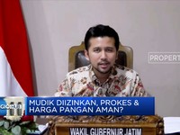 Antisipasi Pemda Cegah Covid-19 di Masa Mudik Lebaran