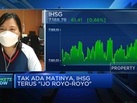 Tak Ada Matinya, IHSG Terus 'Ijo Royo-royo'