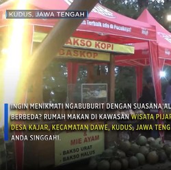 Ngabuburit Unik di Atas Pohon Pinus