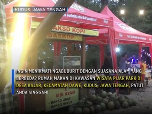 Ngabuburit Unik di Atas Pohon Pinus