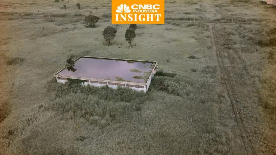 Cover Insight, Tuan Tanah