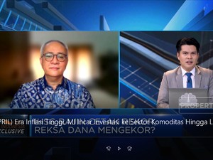 Era Inflasi Tinggi, MI Incar Investasi ke Sektor Berikut!