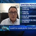 Logam Tanah Jarang RI Diincar China, Potensinya Sebesar Ini