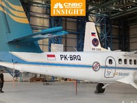Kisah Merpati: Bunuh Garuda, Jadi Penguasa Langit & Kini Mati