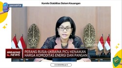 Menkeu: Stabilitas Sistem Keuangan RI Normal di Tengah Perang