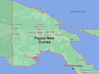 Profesor Australia yang Disandera di Papua Nugini Dibebaskan