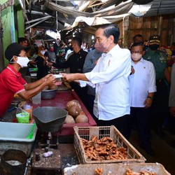Jokowi Bagikan Bansos Maret, Cek Namamu di Cekbansos.kemensos