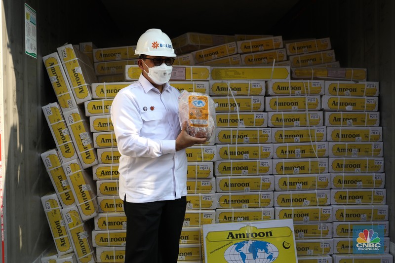Bongkar muat daging kerbau asal India Bulog Bongkar muat daging kerbau asal India di Terminal Mustika Alam Lestari, Tanjung Priok, Jakarta Utara, Kamis (14/4/2022). (CNBC Indonesia/ Tri Susilo)