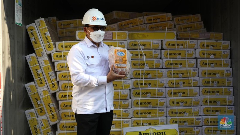 Bongkar muat daging kerbau asal India di Terminal Mustika Alam Lestari, Tanjung Priok, Jakarta Utara, Kamis (14/4/2022). (վ/  Tri Susilo)