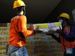 Penyakit Serang Ternak di India, Impor Daging Kerbau Lanjut