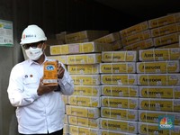Bulog Banjiri RI 13.692 Ton Daging Kerbau Impor, Cek Harganya