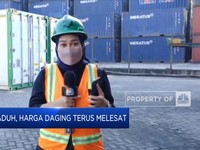 Waduh, Harga Daging Terus Melesat