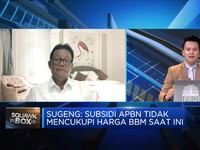 Video DPR: Situasi Sulit, Idealnya Pertalite Naik Rp 2.000/L