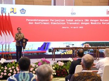 Setahun Lebih Didirikan Jokowi Begini Kinerja Investasi SWF