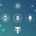 Ini Jurus Berburu Aset Kripto Saat Terjadi 'Crypto Crash'