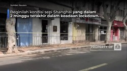 Video: Begini Penampakan 2 Minggu Lockdown di Shanghai
