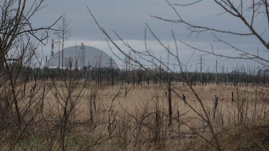 Trenches dug by the Russian military are seen in an area with high levels of radiation called the Red Forest, as Russia's attack on Ukraine continues, near the Chornobyl Nuclear Power Plant, in Chornobyl, Ukraine April 16, 2022. Picture taken with a drone.  REUTERS/Gleb Garanich