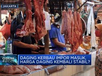 Daging Kerbau Impor Masuk, Harga Daging Kembali Stabil?