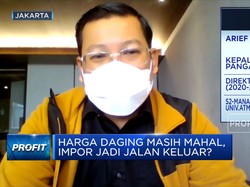 Cukupi Pasokan, Bapanas Datangkan Daging Kerbau Impor India