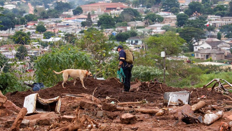 A search and rescue team member uses a dog to search for bodies in Dassenhoek near Durban, South Africa, April 17, 2022. REUTERS/Rogan Ward