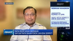 DPR Soroti Keterkaitan Tersangka Mafia Migor, Ada Apa?