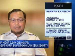 DPR Soroti Keterkaitan Tersangka Mafia Migor, Ada Apa?