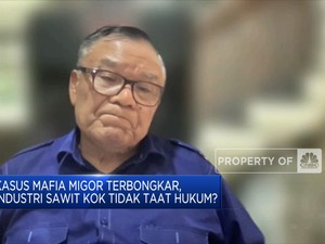 GIMNI Bantah Jika Produsen Penyebab Kelangkaan Minyak Goreng