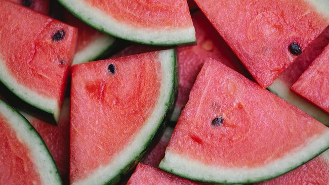 Russian Antarctic Expedition Successfully Grows Watermelons in Antarctica