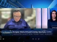 Kejagung Bongkar Mafia Minyak Goreng, Apa Kata Pengusaha?