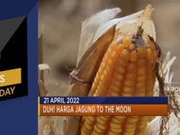 Harga Jagung to The Moon, Hingga Netflix 'Rugi' Triliunan